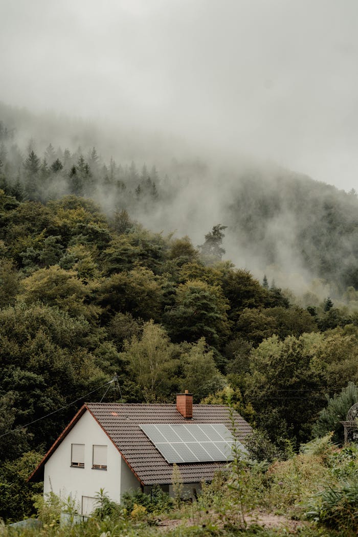 A house with solar panels nestled in a foggy forest, offering a serene and eco-friendly setting.