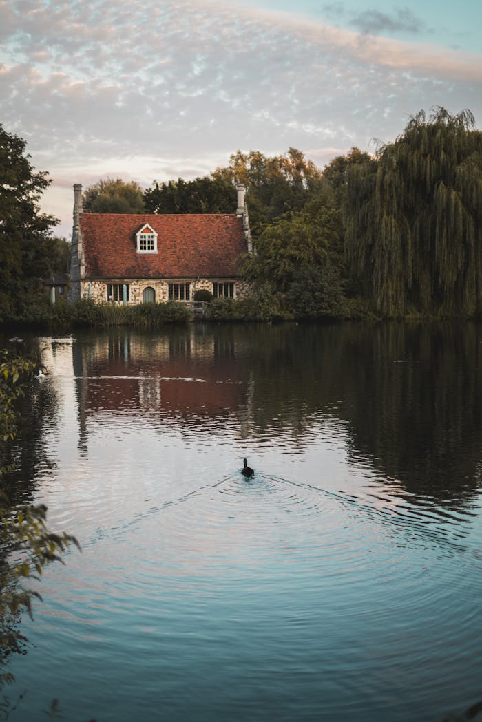 Picturesque lake house reflected in a serene pond with a single duck, surrounded by lush foliage.